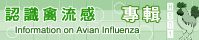 �{�ѸV�y�P�M��