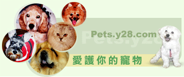 Pets.y28.com �R�@�A���d��