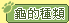 �t������
