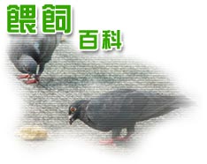 ���}�ʬ�