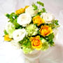 �}�i�x�P���x-Rose007