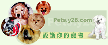 Pets.y28.com 愛護你的寵物